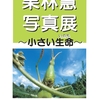 佐世保店 栗林慧写真展〜小さい生命〜 延長決定✨