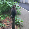 雨あがりの集会場