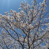 子供会の行事に参加して思ったこと