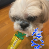 今日のおやつはちゅーる