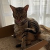 体調不良になる