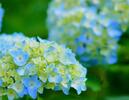 経済的合理性（節税）を追求するのは合理的です ——でも、お金より大切なものがあることを、 どうか忘れないでください。