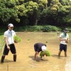 遊ぶ奴は大成する？