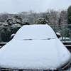 横浜に雪が降りました