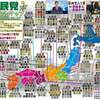 【ゲリラ街宣】れいわ新選組代表山本太郎　 千葉県・船橋　　2024年9月13日