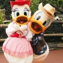 Disney wedding   SHW備忘録