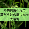 外構費用不足で雑草だらけの庭になって大後悔