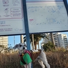 ❝浦安市　明海の丘公園❞  　愛犬とおでかけ-千葉県観光🎵　2021年1月31日