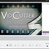 VidCutter が落ちるので対処した