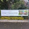 初めての沖縄旅行（1日目）