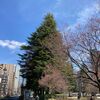 「ですます調」か「である調」か...