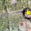 【お出かけスポット】【東京】【江東区】全身で感じるアート「チームラボプラネッツ TOKYO」 に行ってきました！　その6