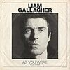 兄貴の持ち歌を歌うLiam Gallagher