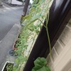 二輪