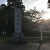 武雄神社様🌿ご神木