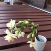 ギフト