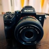 SONY α7III + CANON EF 40mm