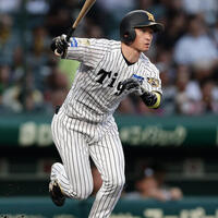日刊スポーツ