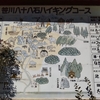 びく石登山〜笹川八十八石コースを歩いてきました（静岡県藤枝市）