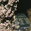 桜🌸発見！！！＼( 'ω')／