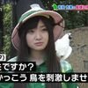2016年アイドルこわいアクセス数ランキング