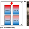 HCAにおけるプレート選定：Microplate Selection and Recommended Practices in High-throughput Screening and Quantitative Biology in Assay Guidance Manual