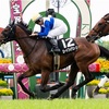 【一口馬主日記】ロードフォアエース編！