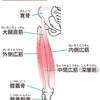 大腿四頭筋を緩めよう！