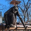 仕事（目線）、結婚感、動物園