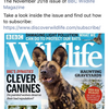 BBC Wildlife Magazine の表紙がリカオンです！