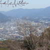 天拝山　山歩き