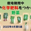 農薬や化学肥料をつかわない野菜（2022年4月第5週）