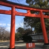 【神社仏閣】平野神社（ひらのじんじゃ）in 京都市北区