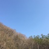 やっと 巡り会えた😆