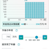 夫の年金を確認してみました