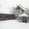 札幌に今季最強の冬将軍到来！