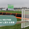 23/08/11 イギリスの"All Weather Steeplechase"に関する覚書 ③