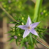 2019年9月29日 高座山（日帰り）