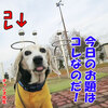 続・宇宙のファンタジーその２