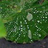 梅雨も終盤？？？