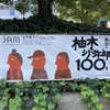柚木沙弥郎の100年