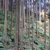 菜園家の林業見学