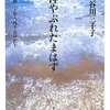 「神やぶれたまはず」を読み始める