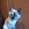 ちーちゃん・・・まだ三カ月（笑）