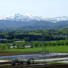 飴山實（あめやまみのる）