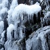 氷点下が続いています