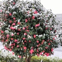 ラノベ書いてみた_与太子の与太話