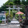 六條八幡宮でテスト撮影  2024.6.2