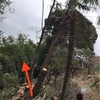 チルホールで引っ張る