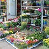 Kệ trưng bày hoa tươi giá rẻ, bền đẹp được yêu thích trên thị trường